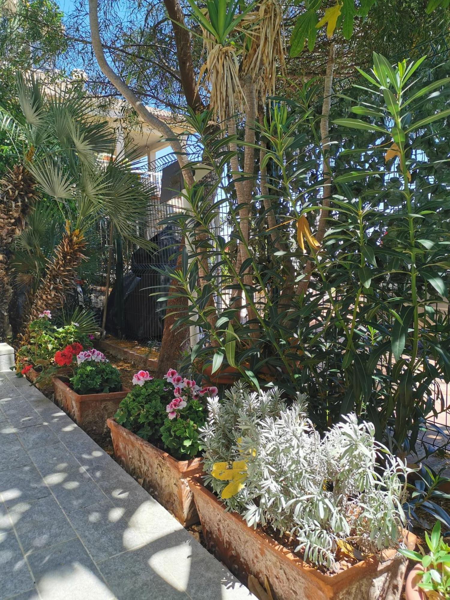 Panorama Apartment Addaura Palermo Exterior foto